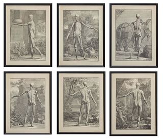 After Jan (Jean) Wandelaar (Dutch, 1690-1759), Six Musculorum Tabula Prints, each presented in matching black plastic frame, H.- 14 5/8 in., W.- 10 5/