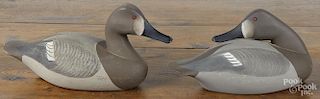 Two contemporary Roger Urie carved and painted canvasback hen decoys, Rock Hall Md., signed