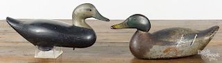 Two carved and painted duck decoys, early 20th c., one a mallard