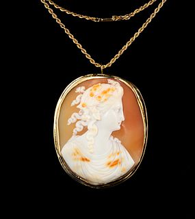 Antique Shell Cameo on 14K Rope Chain