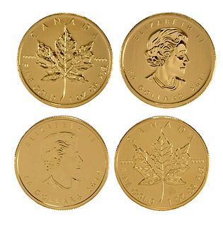 24 Canadian Gold Coins, One Ounce Maple Leafs