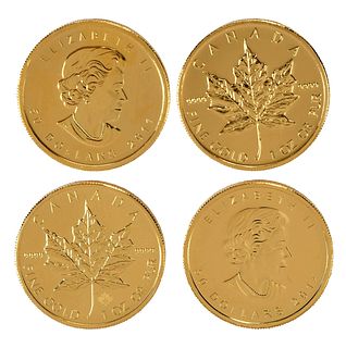24 Canadian Gold Coins, One Ounce Maple Leafs