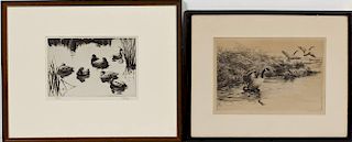 Two 20th Century American Etchings of Waterfowl
