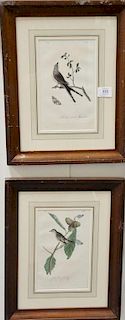 Set of six Audubon prints  Drawn from nature by J.J. Audubon  printed by J.T. Bowen, Philadelphia  hand colored lithographs <R...