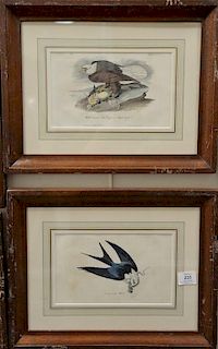 Set of six Audubon prints, Drawn from nature by J.J. Audubon, printed by J.T. Bowen, Philadelphia, hand colored lithographs, Peregri...