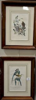 Set of six Audubon prints, Drawn from nature by J.J. Audubon, printed by J.T. Bowen, Philadelphia, hand colored lithographs, Cooper'...