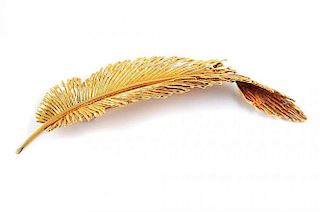 A Gold Feather Pin, by Sterle