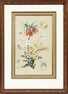 TAMBERG HAND COLORED LITHOGRAPH 'PL. 40'