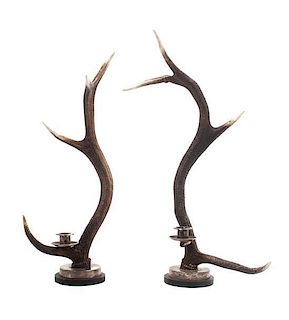 Two English Stag Horn Candlesticks Height of taller 24 inches.