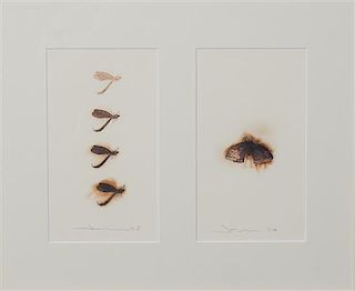 John Balsley, (American, b. 1938), Moths, 2005-2006 (two works, framed together)