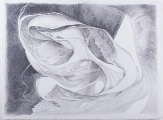 Cynthia Young  "Fragment #6" Graphite Drawing