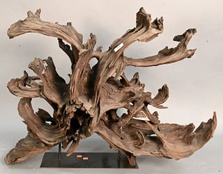 Large Freeform Driftwood Sculpture on Iron Stand.
