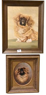 Three Paintings of Pekingese Dogs