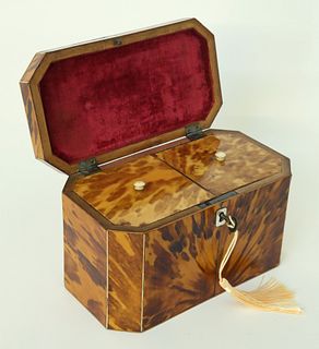British Regency Double Compartment Canted Corner Antique Tortoiseshell Tea Caddy, 19th Century