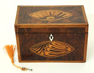 British Regency Conch Shell Inlaid Double Compartment Tea Caddy, 19th Century