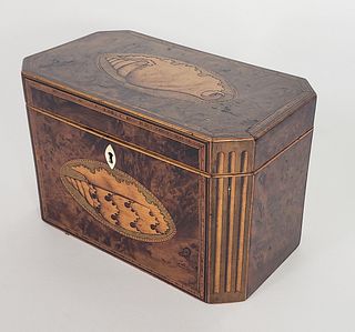 Antique Cut-Corner English Satinwood Shell Inlaid Double Compartment Tea Caddy, 19th century