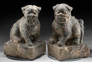 Chinese Tang Dynasty Black Granite Foo Lions (pr)