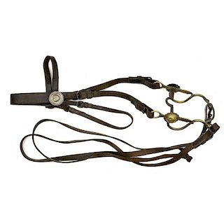 Confederate Import M1860 British Army Pad Bit and Bridle