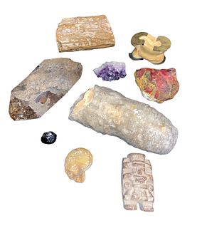 Collection Assorted Geodes & More AMETHYST, NAUTICAL FOSSIL