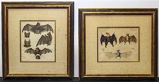 * Two Handcolored Engravings of Bats. Height 7 1/4 x width 8 3/4 inches.