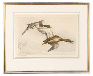 *Léon Danchin, "Canards Sauvages (Wild Ducks)"
