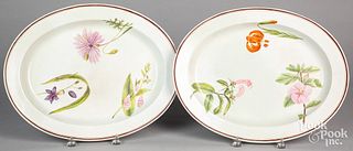 Pair of pearlware botanical platters