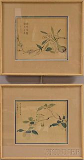 Pair of Plants Prints in Bamboo Frames