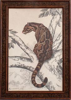 Rama Samaraweera "Clouded Leopard" Print