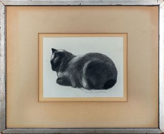 Rosella Hartman Siamese Cat Charcoal on Paper