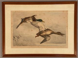 Vintage Lithograph Pair of Mallard Duck