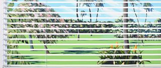 Large Maud Gatewood Florida Landscape Painting, 72"W