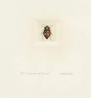 Rimer Cardillo Escarabajo de Tiwanaku Aquatint