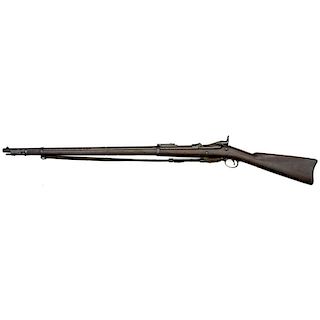 U.S. Springfield Model 1899 Trap Door Rifle