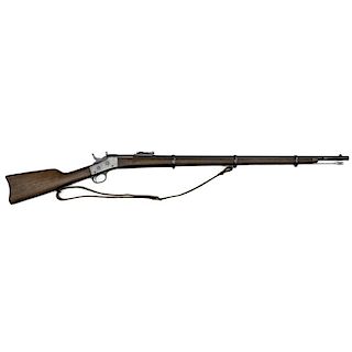 Argentine Remington M1879 Rolling Block Rifle