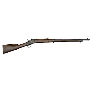 **Remington Model 1901 Rolling Block Rifle