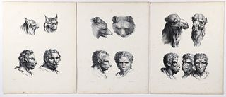 Charles Le Brun 3 Physiognomy Lithographs 1827