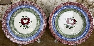 Pair of Spatter Plates