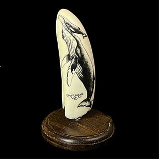 A Scrimshaw Whale's Tooth