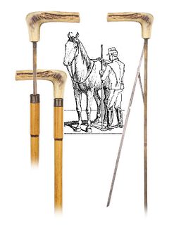 Horse Measure Cane