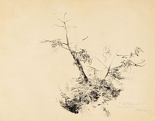 Benjamin Franklin Long 'Branch' Ink on Paper