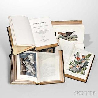 Audubon, John James (1785-1851) The Birds of North America, from Drawings Made in the United States and their Territories.