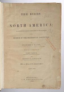 Baird, Spencer Fullerton (1823-1887) The Birds of North America  , Atlas Volume Only.
