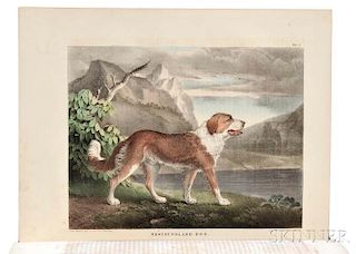 Doughty, John & Thomas (1793-1856) The Cabinet of Natural History and American Rural Sports with Illustrations.