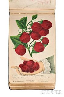 The Specimen Book of Fruits, Flowers, and Ornamental Trees. Carefully Drawn and Colored from Nature for the Use of Nurserymen