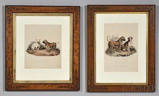 Edwards, Sydenham Teast (1768-1819) Two Framed Dog Prints.