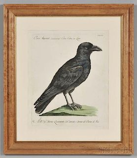 Manetti, Xavier (1723-1784) Five Engraved Ornithological Prints.