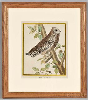 Martinet, Francois-Nicolas (c. 1760-1800) Seven Ornithological Prints.