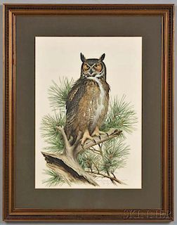 Peterson, Roger Tory (1908-1996) Great Horned Owl  , Signed Limited Edition.