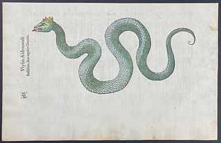 Aldrovandi, pub. 1640 - Crowned Serpent or Snake. 366