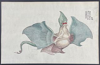 Aldrovandi, pub. 1640 - Dragon or Monster. 316